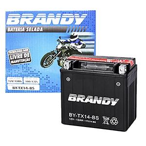Bateria Selada Brandy TX14 Original BMW 1300 K1300R, S Cód. Yuasa YTX14-BS é boa?