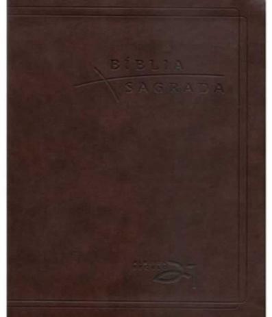 Biblia Almeida Seculo 21 - Referencias Cruzadas - Capa Luxo Cafe - Vida nova é boa?