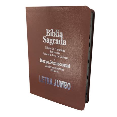 Bíblia Com Harpa Jumbo Luxo - Promessas - 29x21 Marrom - King'S Cross Publicações Menor preço em Bíblia Com Harpa Jumbo Luxo - Promessas - 29x21 Marrom - King'S Cross Publicações