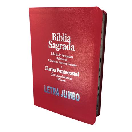 Bíblia Com Harpa Jumbo Luxo - Promessas - 29x21 Pink - Kings cross publicações Menor preço em Bíblia Com Harpa Jumbo Luxo - Promessas - 29x21 Pink - Kings cross publicações