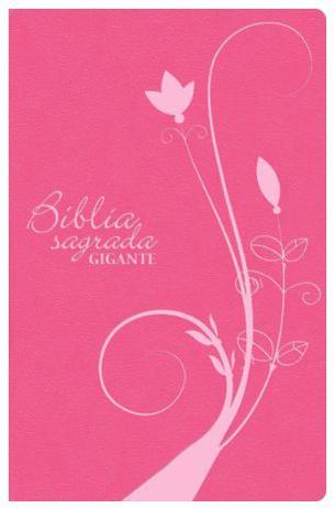 Bíblia Sagrada Gigante com Mapas Capa Luxo Rosa - Sbb é ruim? Bíblia Sagrada Gigante com Mapas Capa Luxo Rosa - Sbb é boa?