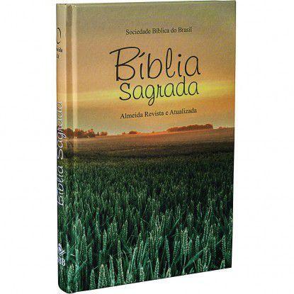 Bíblia Sagrada Tradicional - Almeida Revista e Atualizada - Sbb Menor preço em Bíblia Sagrada Tradicional - Almeida Revista e Atualizada - Sbb
