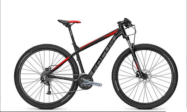 bicicleta focus whistler