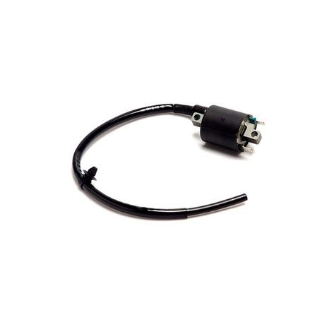 Bobina de Ignição Magnetron Honda Biz 125 2009 (Injeção Eletrônica) Menor preço em Bobina de Ignição Magnetron Honda Biz 125 2009 (Injeção Eletrônica)