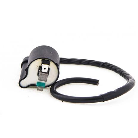 Bobina Ignicao 12V Condor Biz 125 05 A 08 Menor preço em Bobina Ignicao 12V Condor Biz 125 05 A 08
