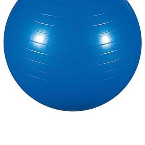 Bola Ginástica Pilates E Yoga Ø55cm + Bomba Infladora Azul - Mor é boa?