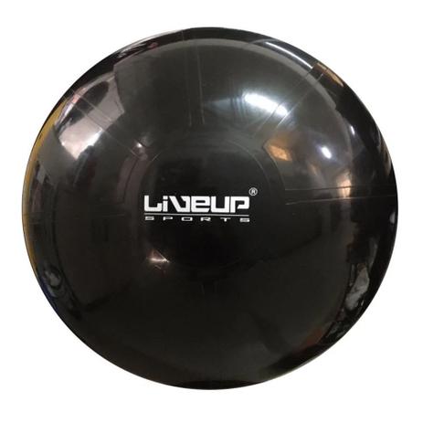 Bola Suica 65 Cm Melao Premium para Pilates Suporta 300kg Liveup Menor preço em Bola Suica 65 Cm Melao Premium para Pilates Suporta 300kg Liveup