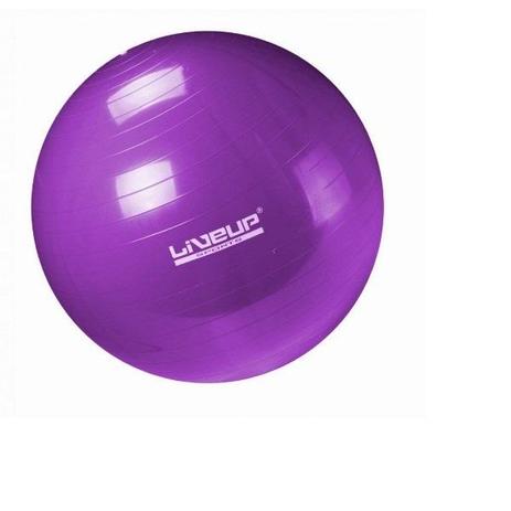 Bola Suica Para Pilates 55cm Roxa Liveup - Liveup sports Menor preço em Bola Suica Para Pilates 55cm Roxa Liveup - Liveup sports