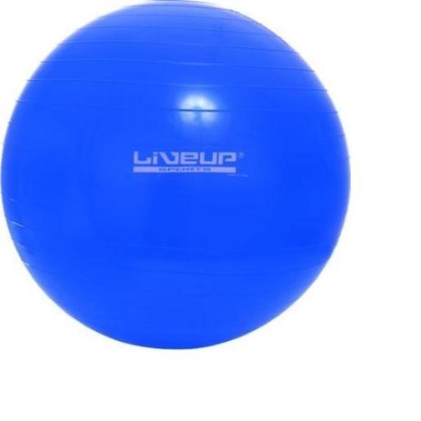 Bola Suica Para Pilates 65cm Liveup Antiestouro Yoga Fitness - Liveup sports Menor preço em Bola Suica Para Pilates 65cm Liveup Antiestouro Yoga Fitness - Liveup sports