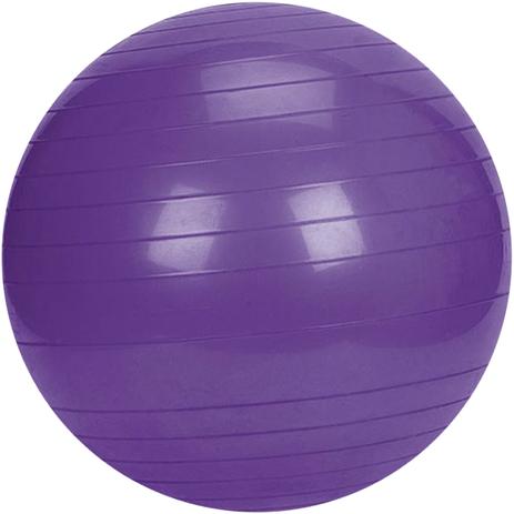 Bola Suíça para Pilates ZStorm Premium 55 cm ZS170930 Roxo - Zstorms fitness equipments Menor preço em Bola Suíça para Pilates ZStorm Premium 55 cm ZS170930 Roxo - Zstorms fitness equipments