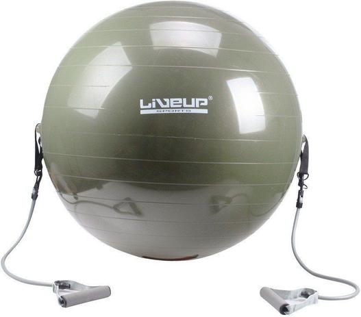 Bola Suíça Pilates Fitness 65 Cm Com Extensores - Liveup Menor preço em Bola Suíça Pilates Fitness 65 Cm Com Extensores - Liveup