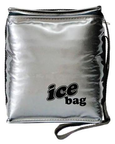 Bolsa 5 Litros Térmica Para Bebidas Lanche Praia Viagem Bag Freezer - Sunflower Menor preço em Bolsa 5 Litros Térmica Para Bebidas Lanche Praia Viagem Bag Freezer - Sunflower