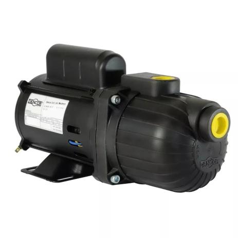Bomba Auto Aspirante 1/4CV 110V - AP-2R Dancor Menor preço em Bomba Auto Aspirante 1/4CV 110V - AP-2R Dancor