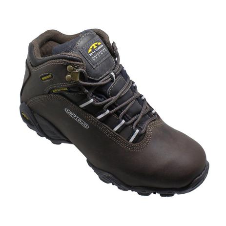 bull terrier alpina dry feminina