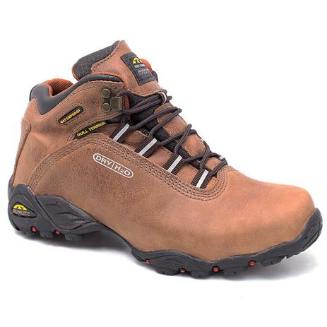 bull terrier alpina dry feminina