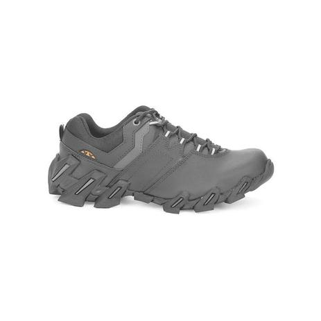 bota bull terrier axis