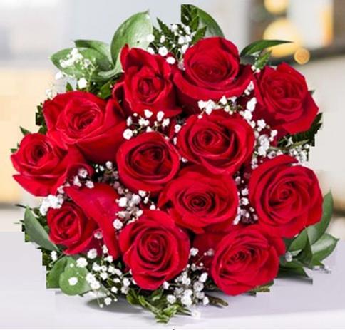 Featured image of post Imagens Fotos De Rosas Vermelhas Os melhores ramos de rosas vermelhas para aquela pessoa t o especial as nossas rosas n o viajam qualidade e frescura nas suas rosas vermelhas para um momento nico