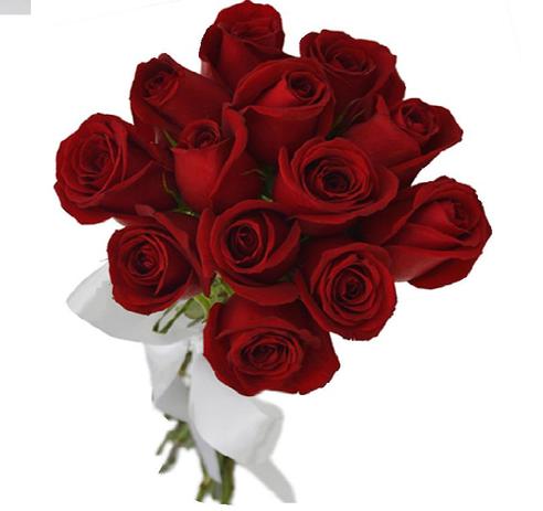 Buquê 12 Rosas Vermelhas Laço Cetim - Palomaflores.com.br Menor preço em Buquê 12 Rosas Vermelhas Laço Cetim - Palomaflores.com.br