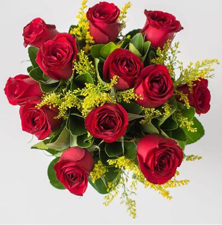 Buquê 12 rosas vermelhas - Palomaflores.com.br Menor preço em Buquê 12 rosas vermelhas - Palomaflores.com.br