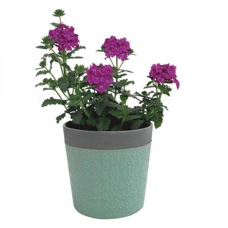 [object Object] é boa?