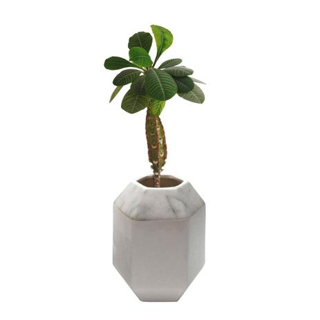 Cachepot, Vaso Decorativo De Cerâmica Hexagonal Marble On Top Urban - H40322 Menor preço em Cachepot, Vaso Decorativo De Cerâmica Hexagonal Marble On Top Urban - H40322