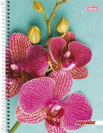 Caderno Feminino Espiral Capa Dura Universitário 10 Matérias Mais - 200 Folhas - Flor - Tilibra Menor preço em Caderno Feminino Espiral Capa Dura Universitário 10 Matérias Mais - 200 Folhas - Flor - Tilibra