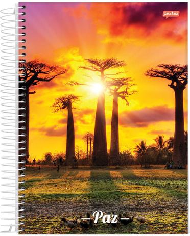 Caderno Universitário Capa Dura Jandaia 10 Matérias Paz 200fls é boa?