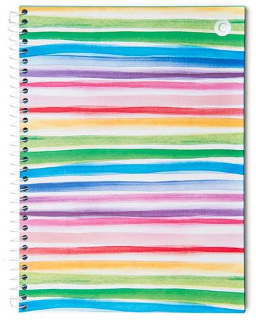 Menor preço em Caderno Universitário Listras Coloridas 20 x 28,0 cm 1 Matéria 80 Folhas Cicero