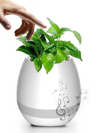 Caixa de som bluetooth formato vaso Inteligente p/ plantas com LED - Tokqi Menor preço em Caixa de som bluetooth formato vaso Inteligente p/ plantas com LED - Tokqi