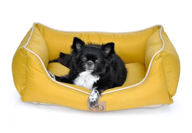 Cama barcelona bichinho chic Clearance