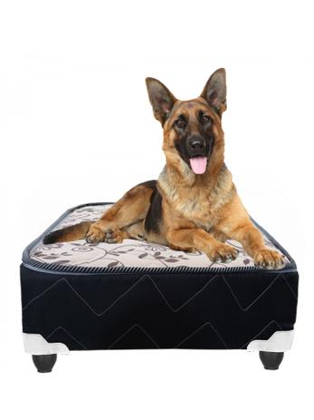 Cama Box Pet Gigante - Puffao e cia é boa?