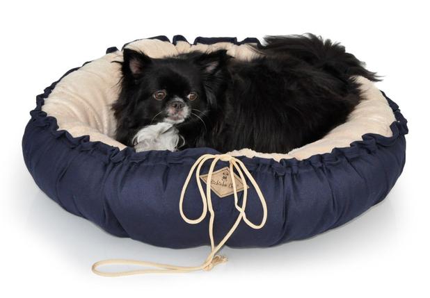 Cama para pet g Clearance