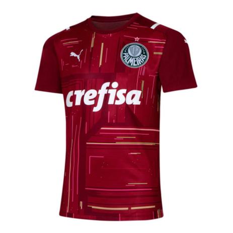 puma palmeiras goleiro