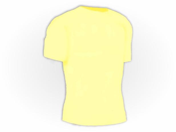 champion 3xl t shirt