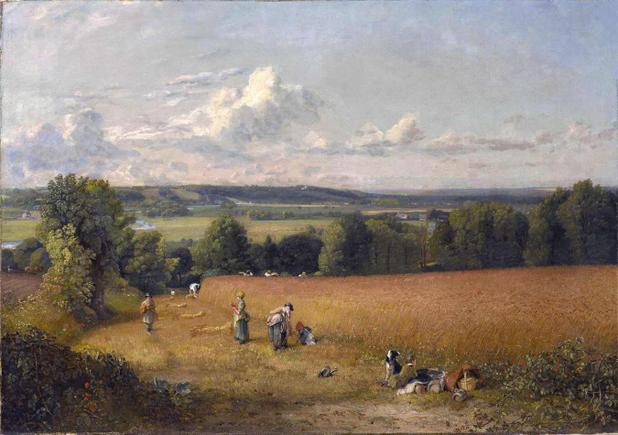 Campo de Trigo (1816) - John Constable - Tela 50x71 Para Quadro - Santhatela Menor preço em Campo de Trigo (1816) - John Constable - Tela 50x71 Para Quadro - Santhatela