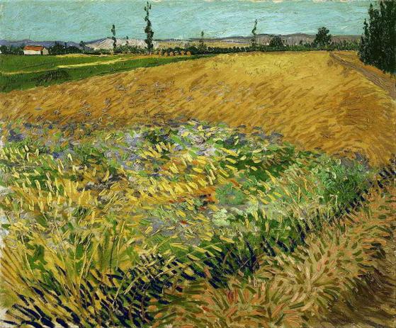 Campo de Trigo (1888) - Vincent van Gogh - Tela 30x36 Para Quadro - Santhatela Menor preço em Campo de Trigo (1888) - Vincent van Gogh - Tela 30x36 Para Quadro - Santhatela