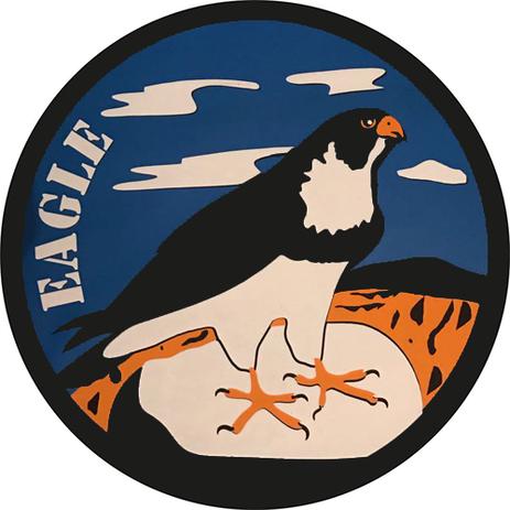 Capa Estepe Ecosport Fox + Cabo + Cadeado Eagle - Outras marcas Menor preço em Capa Estepe Ecosport Fox + Cabo + Cadeado Eagle - Outras marcas