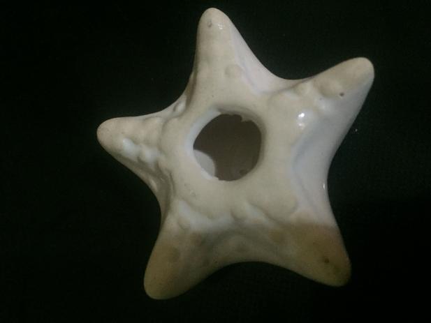 Ceramica Pequena Estrela Aromatizador Bioessencia é boa?