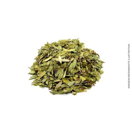 Chá Sene Folhas 200g Emagrecedor Cassia Angustifolia - Granel