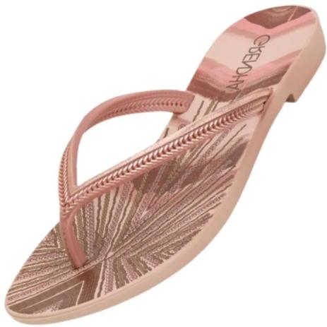 Chinelo Grendha Mais Acai Energia 18060 Feminino - Chinelo Feminino -  Magazine Luiza