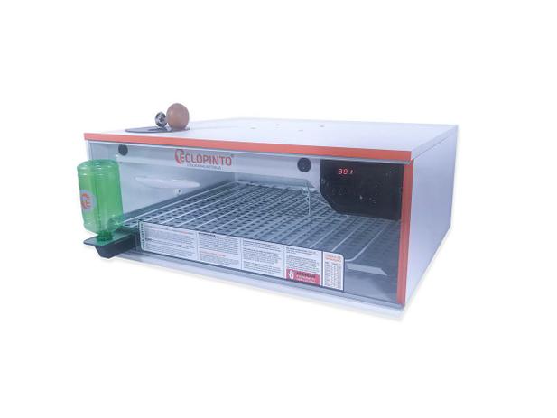 Chocadeira Automática - 120 Ovos + Ovoscópio e Água Automática - Eclopinto Menor preço em Chocadeira Automática - 120 Ovos + Ovoscópio e Água Automática - Eclopinto