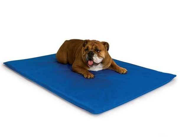Colchonete para Pet - Impermeável - Cama para Cães e gatos Médios - Orthovida colchões Menor preço em Colchonete para Pet - Impermeável - Cama para Cães e gatos Médios - Orthovida colchões