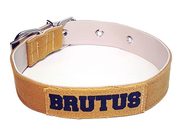 Coleira brutus p - kaqui - Gr pet Menor preço em Coleira brutus p - kaqui - Gr pet