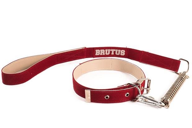 Coleira e guia brutus p - vermelho - Gr pet Menor preço em Coleira e guia brutus p - vermelho - Gr pet