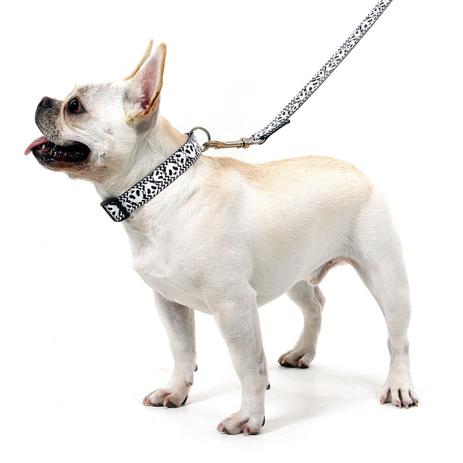 Coleira para dog Clearance