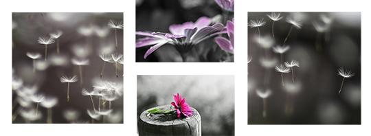 Compose 4 Quadros Decorativos em Canvas para Salas Quartos Floral PB I - Incasa design Menor preço em Compose 4 Quadros Decorativos em Canvas para Salas Quartos Floral PB I - Incasa design