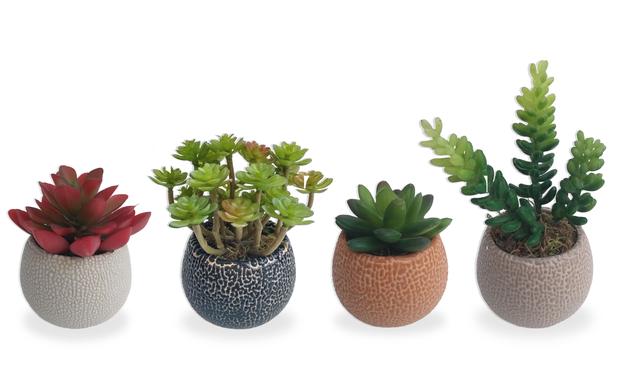Conjunto 4 Suculenta Cores Arranjo Flor Artificial Vaso Em Cerâmica Estilo Kokedama - Flordecorar Menor preço em Conjunto 4 Suculenta Cores Arranjo Flor Artificial Vaso Em Cerâmica Estilo Kokedama - Flordecorar