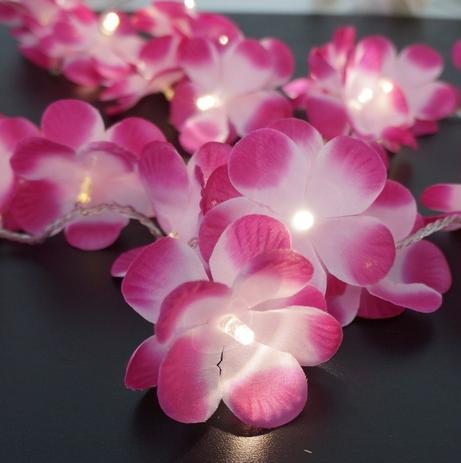 Menor preço em Cordão de Luz Flores Rosas degradê Pilha 20 Leds - Crie casa