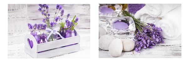 Duo de Quadros Decorativos Canvas p/ Lavabos Banheiros Spas Lavanda - Incasa design Menor preço em Duo de Quadros Decorativos Canvas p/ Lavabos Banheiros Spas Lavanda - Incasa design
