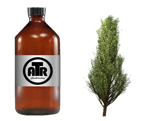 Essência Óleo Para Vela Artesanal Aromática Cipreste 1 Lt - Atr essências Menor preço em Essência Óleo Para Vela Artesanal Aromática Cipreste 1 Lt - Atr essências